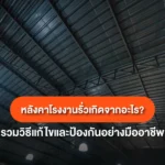 ปัญหาหลังคาโรงงานรั่ว เรื่องใหญ่ที่ไม่ควรปล่อยไว้ พร้อมแนวทางแก้ไขครบวงจร